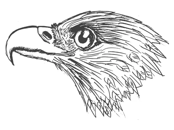 Cabeça de águia — Vetor de Stock