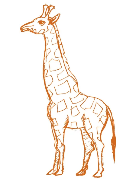 Afrikaanse dier van de Giraffe — Stockvector