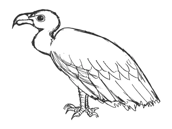 Avvoltoio seduto, vista laterale — Vettoriale Stock
