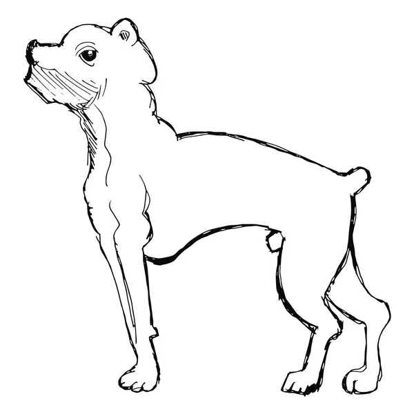 Boceto de perro boxeador — Vector de stock