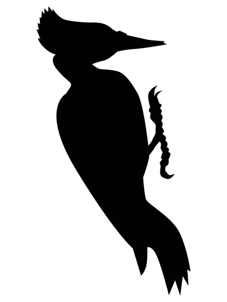 Silhouette of black woodpecker — Stock Vector