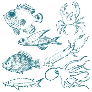 Sualtı canlıları kümesi