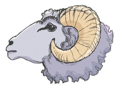 RAM çiftlik hayvanı