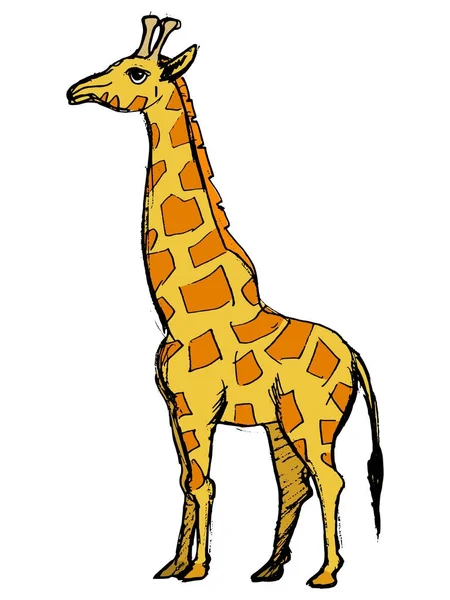 Žirafa africká zvířata — Stockový vektor
