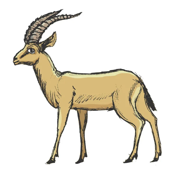 Antilope afrikanisches Tier — Stockvektor