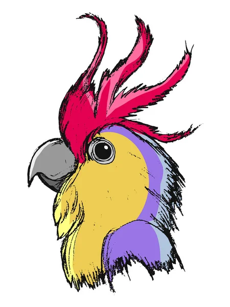 Portrait of macaw — Stock Vector