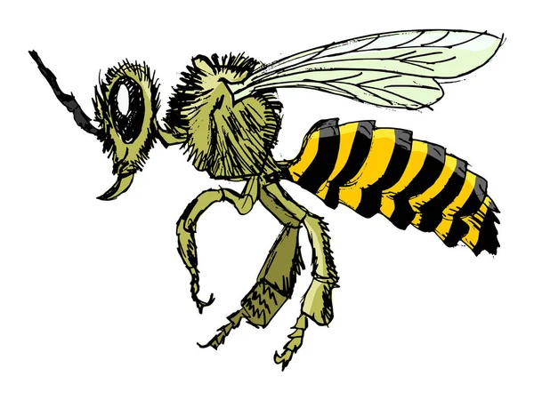 Bosquejo de la abeja — Archivo Imágenes Vectoriales
