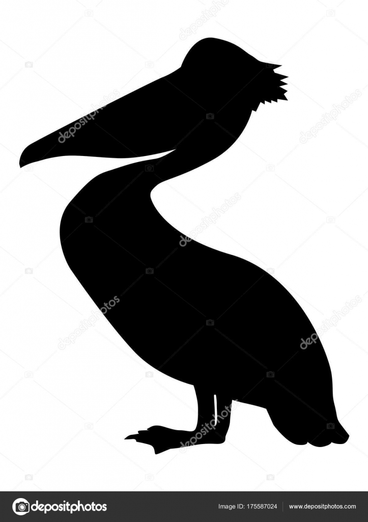 ペリカンのシルエット 無料のストックベクター C Perysty ペリカンのシルエット 無料のストックベクター C Perysty