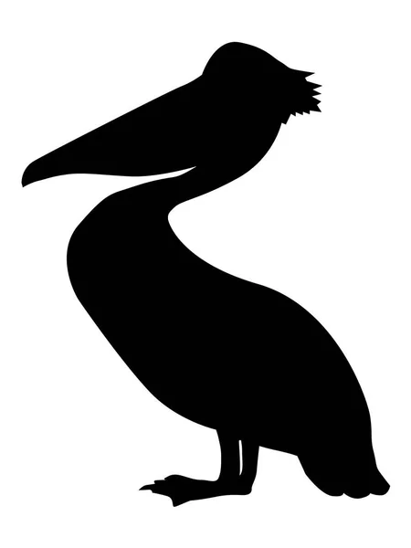 Silhouette of pelican — Free Stock Photo