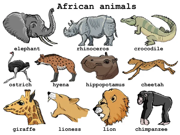 Conjunto de animales africanos — Vector de stock