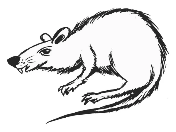 Vector Hand Drawn Sketch Cartoon Illustration Domestic Mouse Motives Pests — Stock Vector