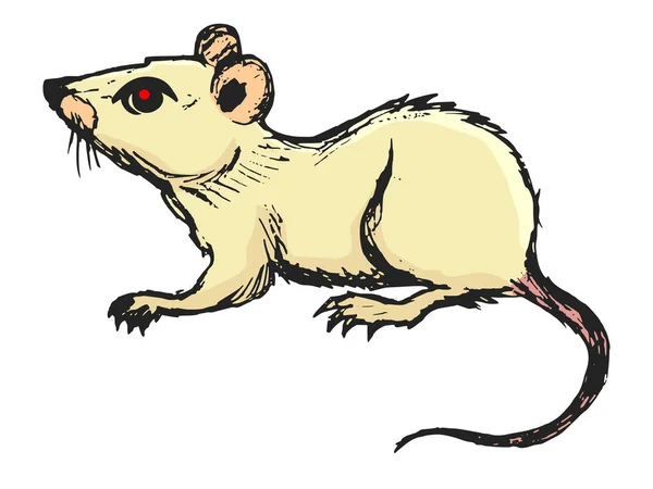 Ratón Plaga Doméstica Motivos Zoolife Naturaleza Ilustración Vectorial — Archivo Imágenes Vectoriales