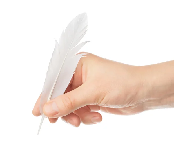 La mano escribe algo la pluma de un pájaro sobre fondo blanco — Foto de Stock