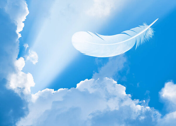Feather in sky among clouds and sun beams