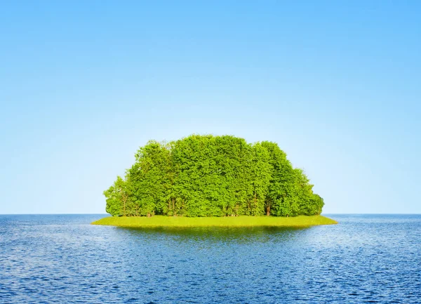 Green island among the water — Stock Photo, Image