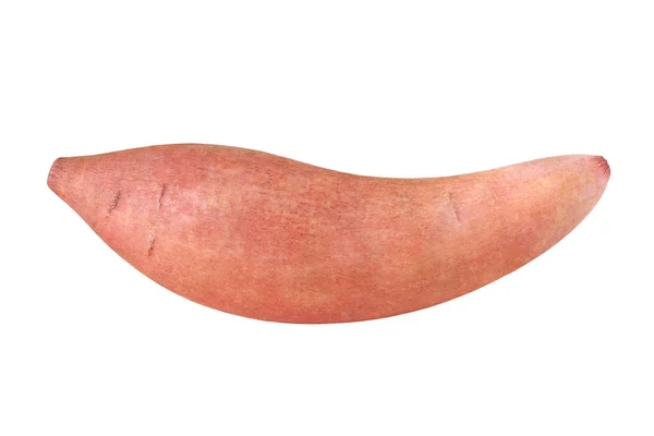 Zoete aardappel geïsoleerd op witte achtergrond — Stockfoto