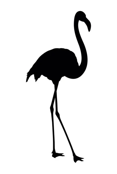 Silhouette vectorielle de flamant rose sur fond blanc — Image vectorielle