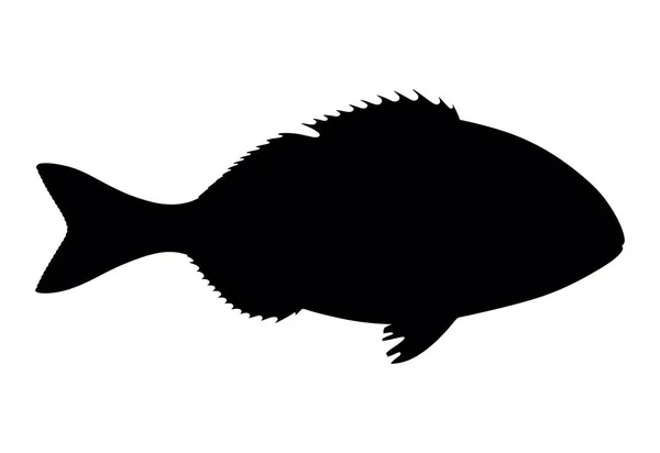 Силуэт Dorado рыбы на белом фоне, векторная иллюстрация — стоковый вектор