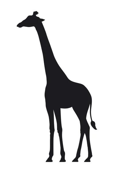 Vector silhouet van een giraffe op witte achtergrond — Stockvector