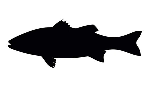 Silhouette pesce mare su sfondo bianco, illustrazione vettoriale — Vettoriale Stock