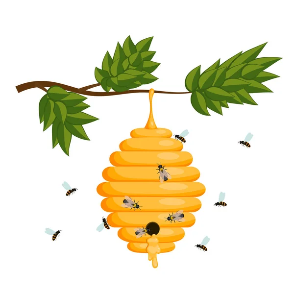 Ruche d'abeilles jaunes sur fond blanc. Isolat de ruche d'abeille. Stock V — Image vectorielle