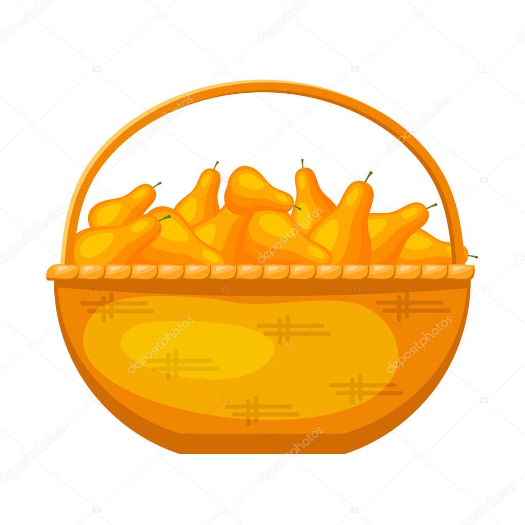 Abstract rural wicker basket with pears. Cartoon style. Vector i