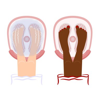 Vektör çizim bir jakuzi küvet ve kozmetik prosedürler.