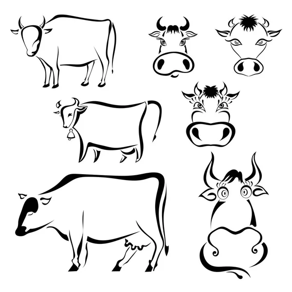 Conjunto de imagens gráficas pretas de vacas sobre um fundo branco. Abstr... — Vetor de Stock
