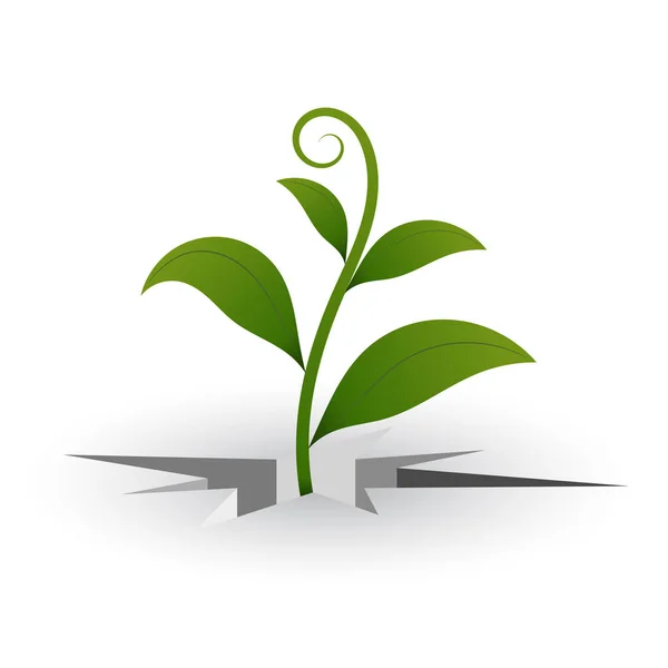 Kleine groene sprout doorbreken van de bodem. Vectorillustratie van een groene veer sprout — Stockvector