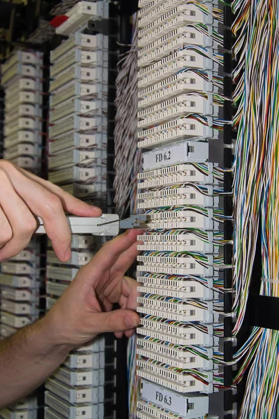 dijital dağıtım çerçeve