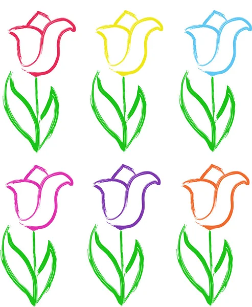 Lale çiçek illüstrasyon vektör set
