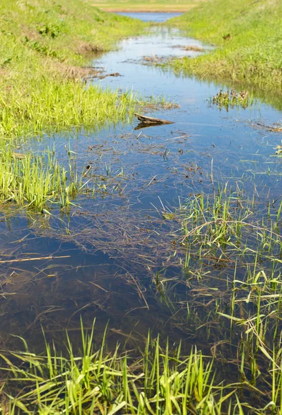 Creek Nehri üzerinde.