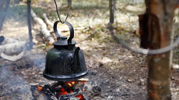 Hervidor de agua en el fuego — Vídeos de Stock