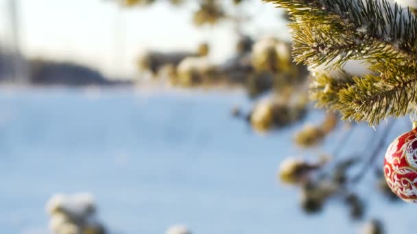 Speelgoed op de kerstboom in het bos — Stockvideo