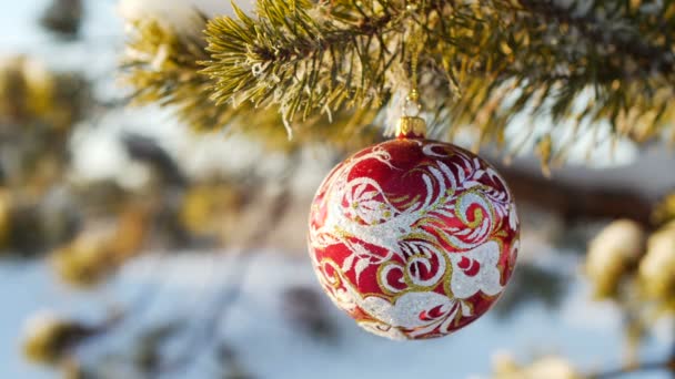 Speelgoed op de kerstboom in het bos — Stockvideo