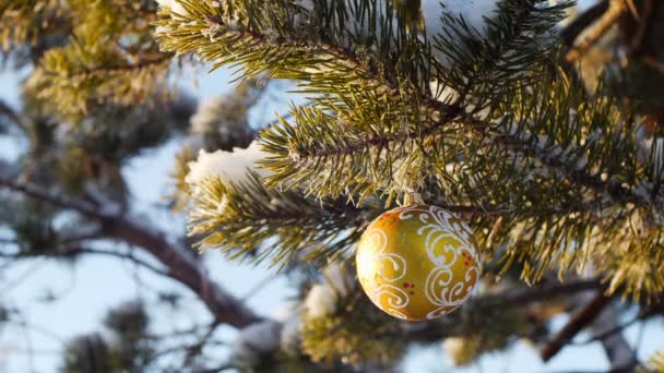 Toy on the Christmas tree in the forest — Stock Video