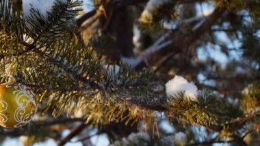 oyuncak ormandaki Noel ağacı üzerinde