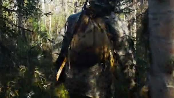 Homem caçador ao ar livre na floresta caça sozinho — Vídeo de Stock