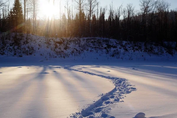 Fotspår Snön Ural Landskapet — Stockfoto