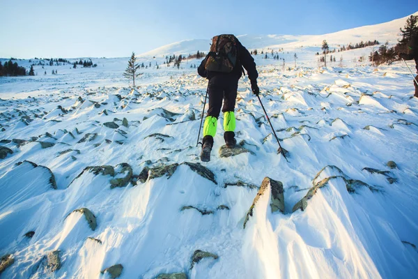 Turista Naturaleza Tormenta Nieve Desesperación Ural Paisaje Invierno Con Gigantescos —  Fotos de Stock