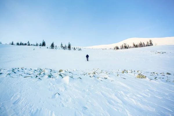 Turista Natura Tempesta Neve Disperazione Urale Paesaggio Invernale Con Gigantesche — Foto Stock