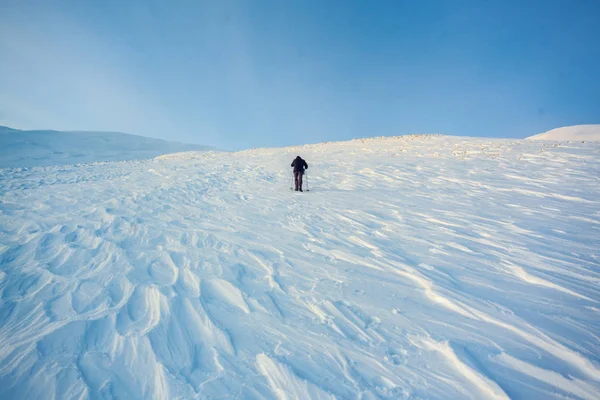 野生の観光客 雪の嵐絶望高原の巨大な凍った石の崖 バットと農村冬の風景 冬のロシア — ストック写真