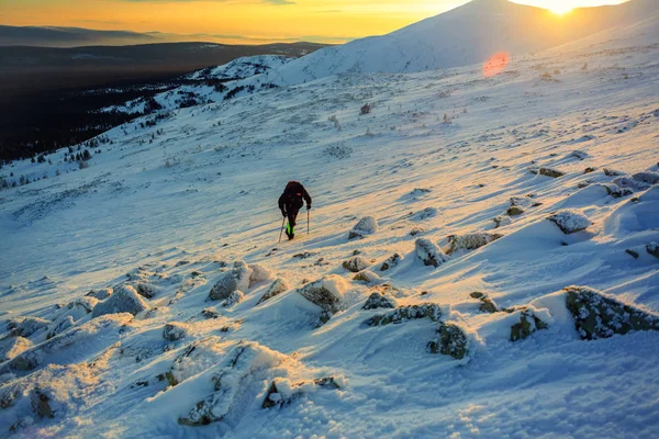 Turista Naturaleza Tormenta Nieve Desesperación Ural Paisaje Invierno Con Gigantescos — Foto de Stock