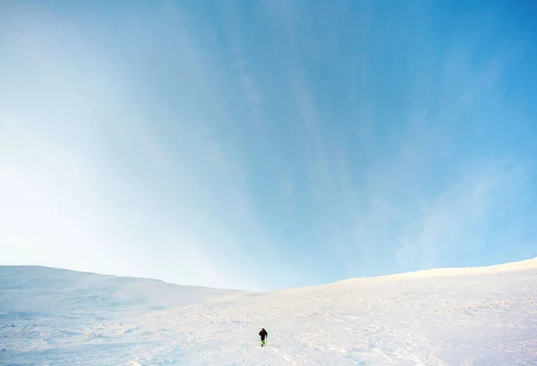 野生の観光客 雪の嵐絶望高原の巨大な凍った石の崖 バットと農村冬の風景 冬のロシア — ストック写真