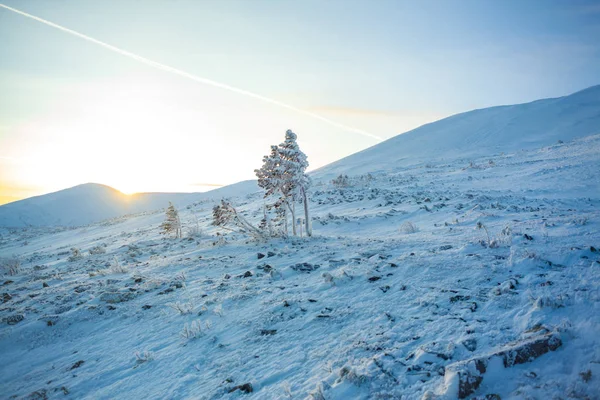 Oural Paysage Montagne Hiver Russie Photo De Stock