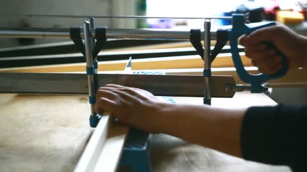 Falegname Femminile Con Sega Mano Officina Piccole Imprese — Video Stock