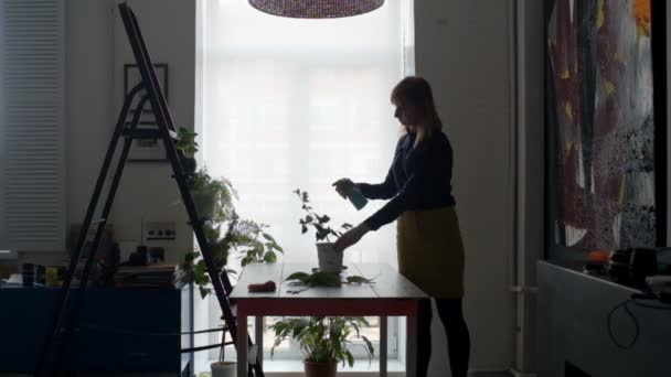 妇女在家中种植盆栽和浇灌盆栽 — 图库视频影像