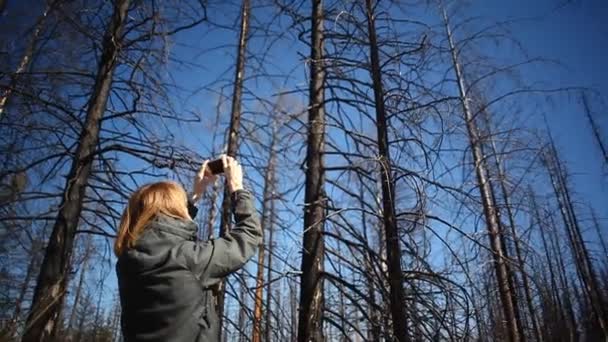 Kız Akıllı Telefondan Video Çekiyor Manzaralı Bir Ormanın Videosunu Çeken — Stok video