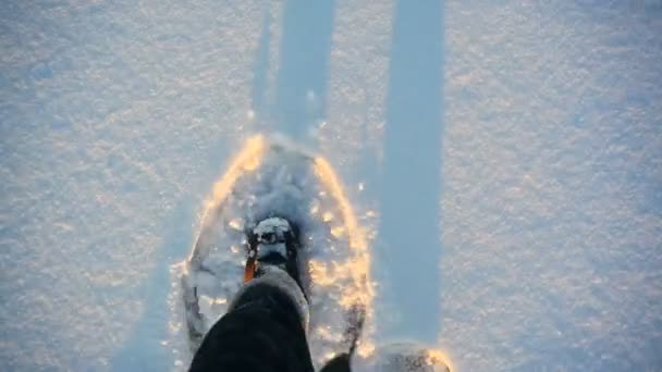 Joven Haciendo Con Raquetas Nieve Naturaleza Invernal — Vídeos de Stock