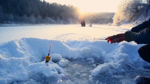 Рибалка Річці Зимовий Сонячний День — стокове відео